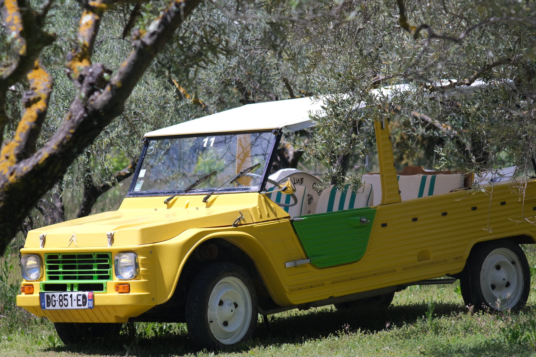 méhari oliviers provence