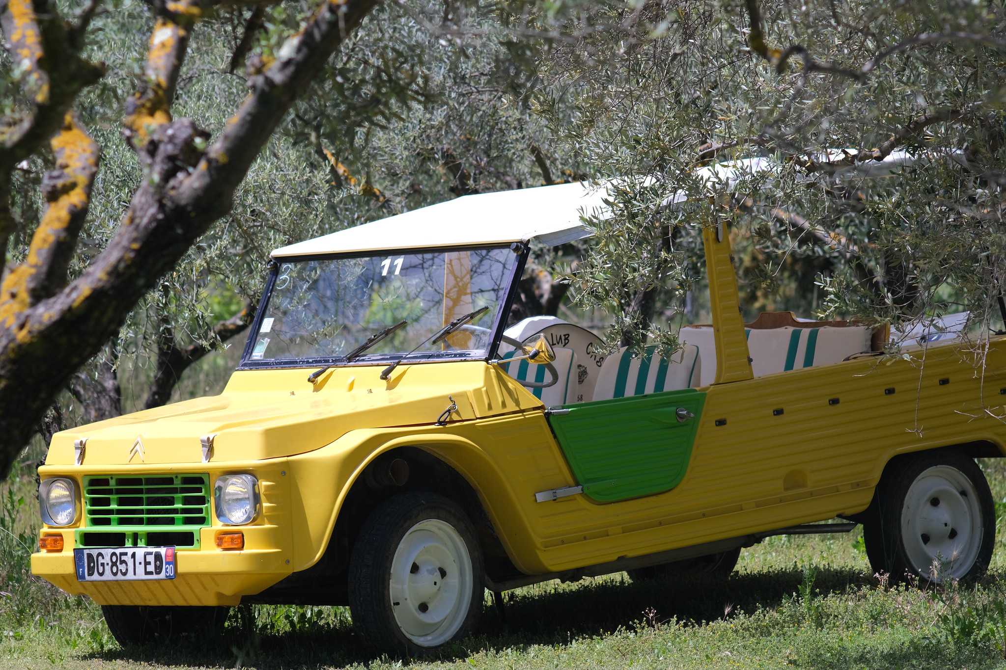 méhari oliviers provence